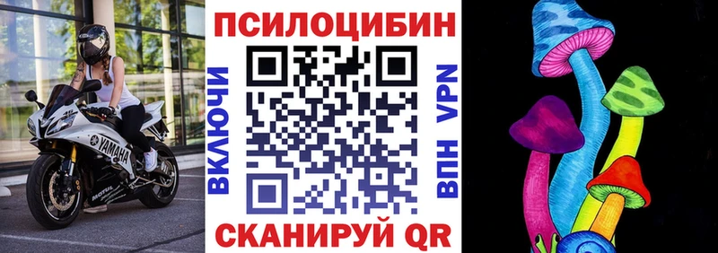 кракен вход  Волчанск  Галлюциногенные грибы Cubensis 